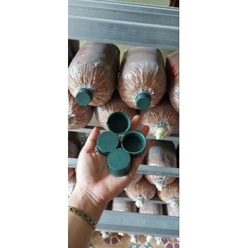 combo 10 nắp nhựa đậy phôi nấm bào ngư