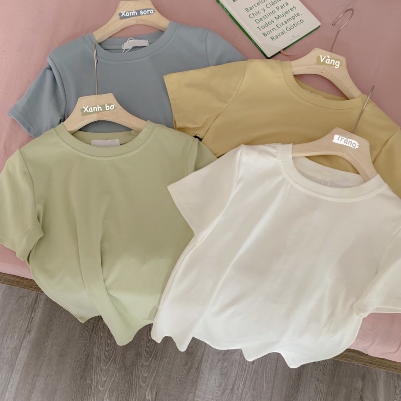 Áo Thun trơn 𝐛𝐚𝐬𝐢𝐜 - 𝐒𝐥𝐢𝐦 𝐟𝐢𝐭