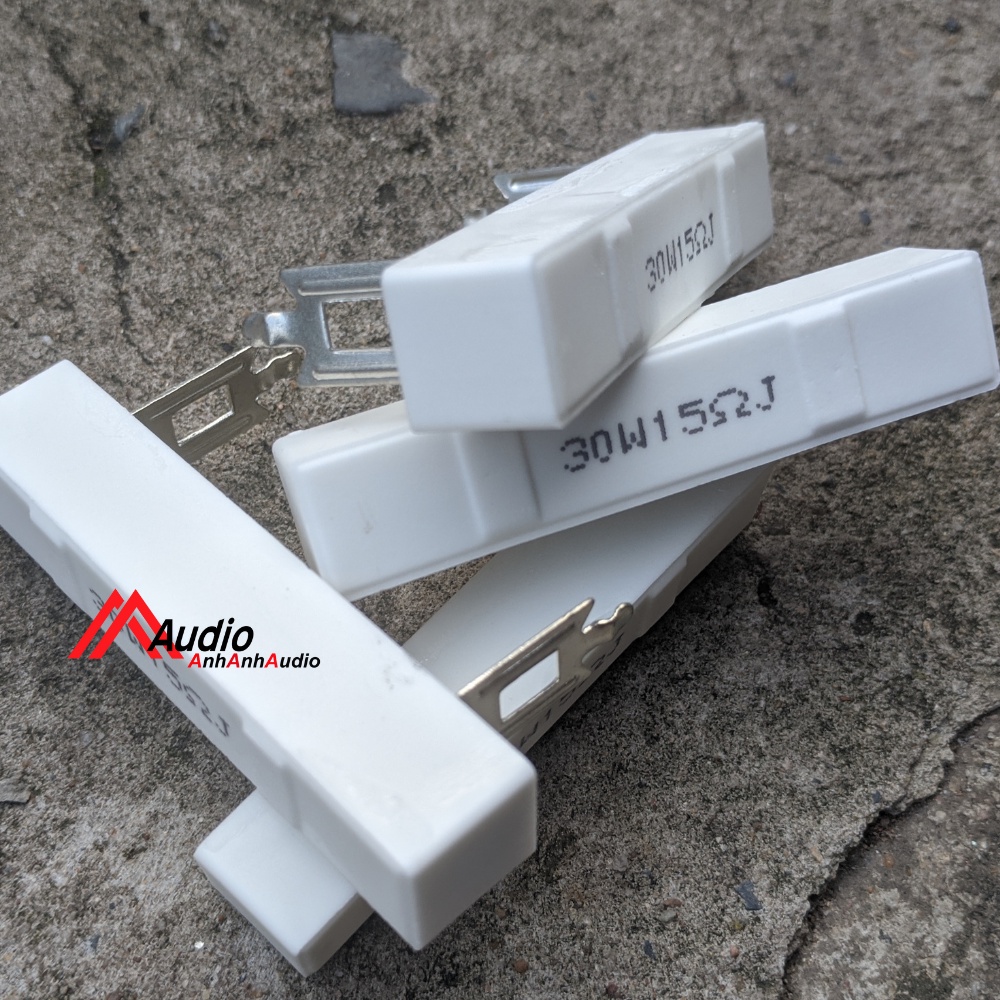 Điện trở đài loan có 2 sóng lưng chân dẹp 30w