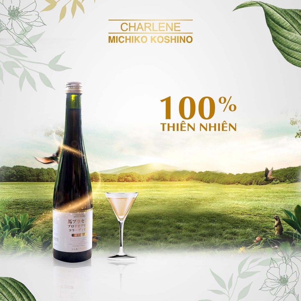 Nước Uống Collagen Nhau Thai Ngựa Charlene Michiko Koshino