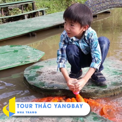 - TOUR THÁC YANGBAY 1 ngày