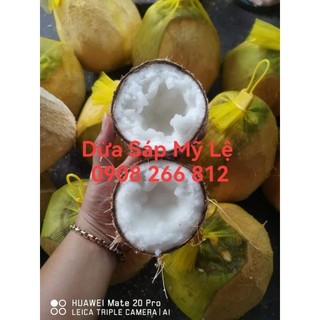 Dừa Sáp Bi đặc dày cơm 120k trái 600g-800g