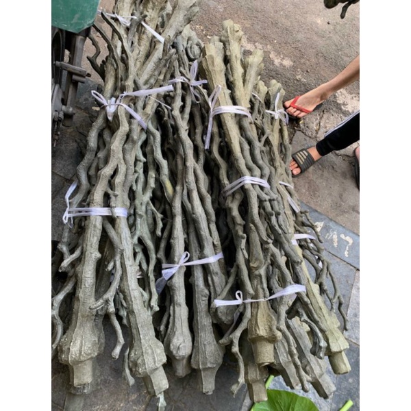 Gốc Cây Giả, Thân Cây Giả - cao 80- 120 cm- Làm cây giả. trang trí nhà cửa.