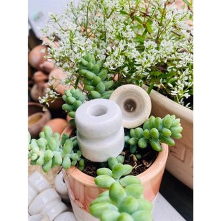 combo 10 cục sứ cách điện