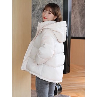 Áo khoác phao basic 3 lớp