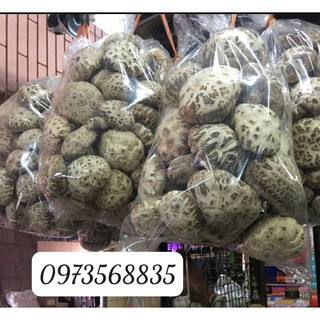 1kg nấm đông cô hoa nhật bản trắng đẹp mũ nấm 4cm-10cm