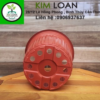Combo 20 chậu vành cứng C5 20x15cm