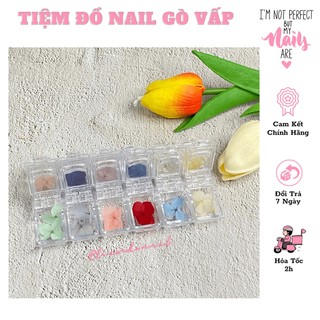 Hoa Khô Trang Trí Móng 12 Màu
