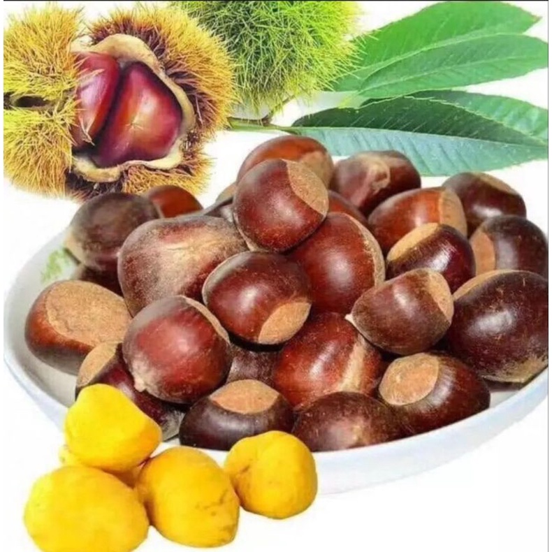 sapa loại hạt to đều ngon bở