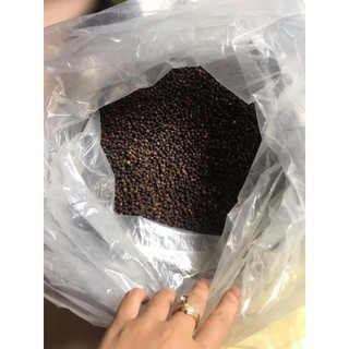 Hạt tiêu cay Đắc lắc