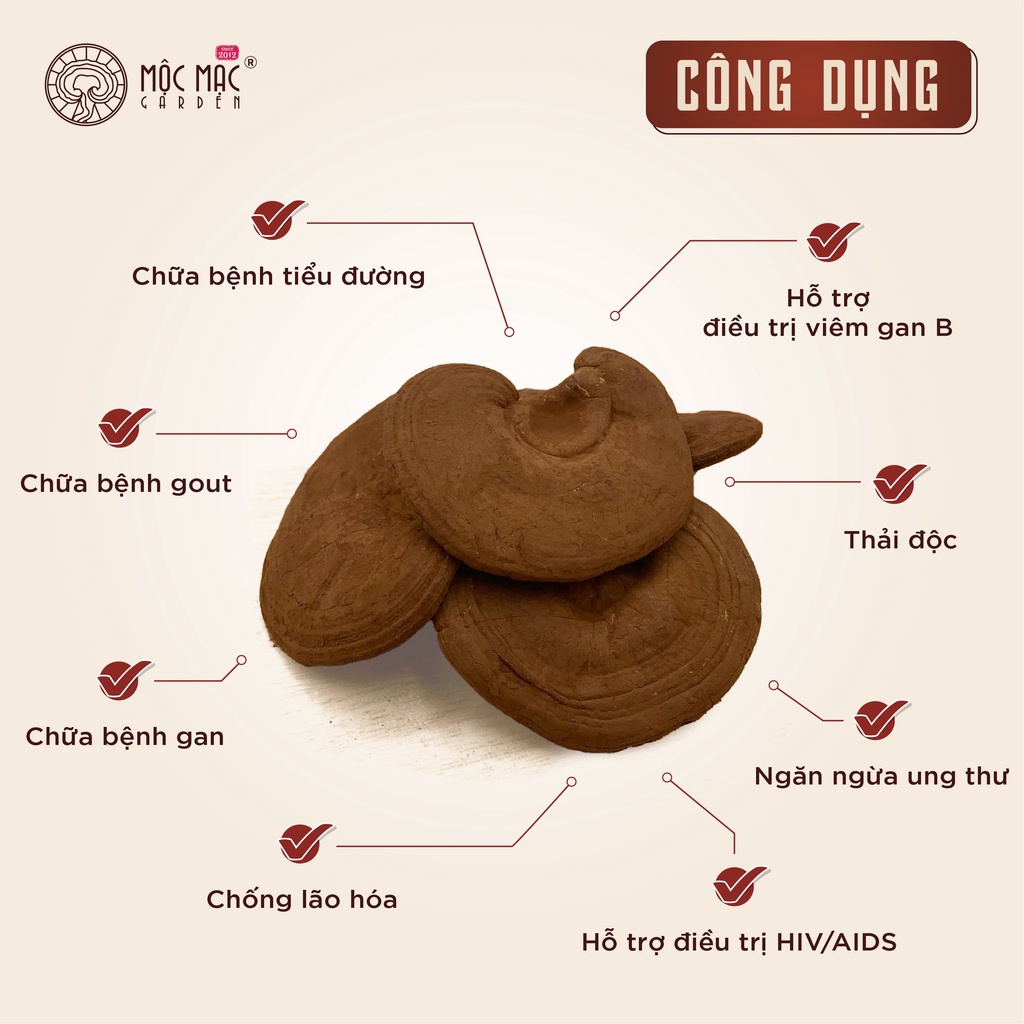 Hộp Nấm Linh Chi Xay nhuyễn thượng hạng