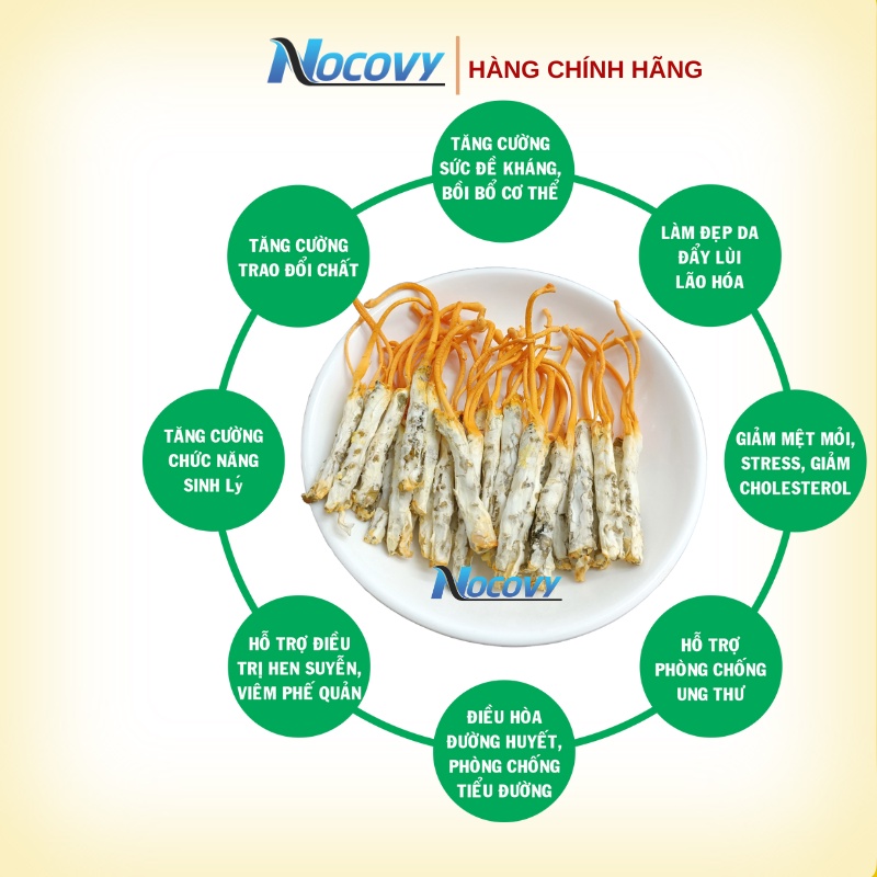 Đông trùng hạ thảo ký chủ sâu tằm NOCOVY  dược chất siêu vượt trội giúp cải thiện hô hấp, giúp ăn ngon ngủ sâu