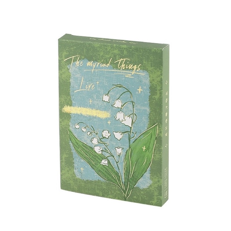 HỘP 30 tấm Postcard trang trí chủ đề hoa hồng song ngữ Trung - Anh