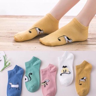 COMBO 5 đôi vớ tất nữ dễ thương nhiều màu sắc, mẫu mã đa dạng - 1 cỡ