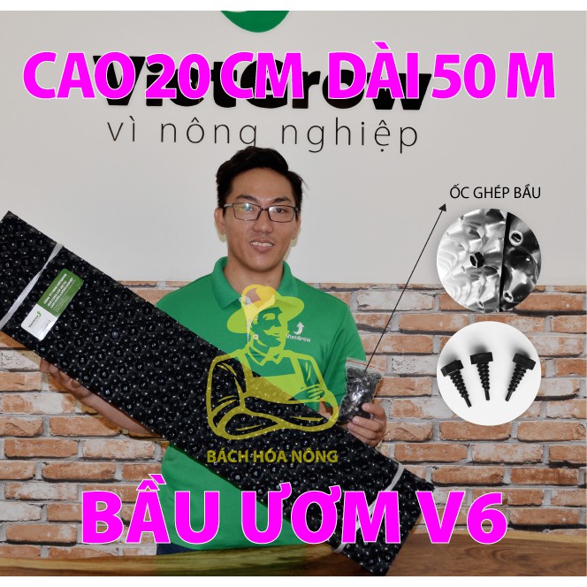 BẦU ƯƠM V6 5M - CAO 20CM ĐỘ DẦY 0.6MM