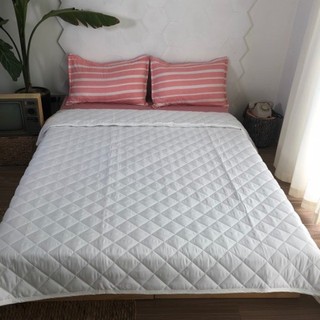 Ruột chăn hè bông tấm vải Cotton kích thước 1m6x2m 1m8x2m 2mx2m2