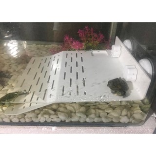 Máng Leo Dành Cho Rùa Nước