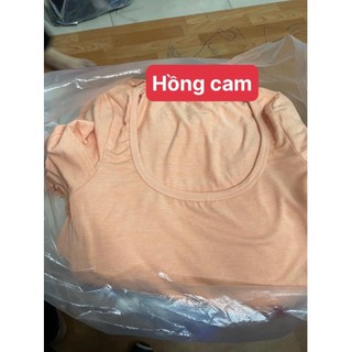 Áo thun nữ đủ màu trơn basic cổ vuông ôm body