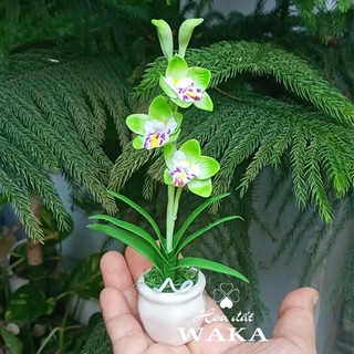 Hoa Đất Sét Mini- Địa Lan 12cm