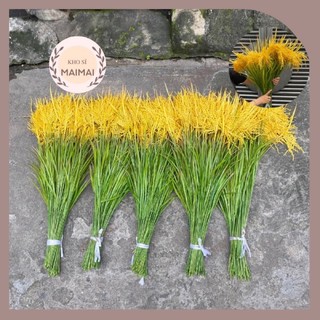 Combo 10 cành lúa giả 1 bông màu xanh, màu vàng dài 70cm