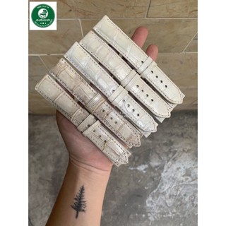 Dây Đồng Hồ Da Cá Sấu Màu Trắng Cá Sấu Gò Vấp