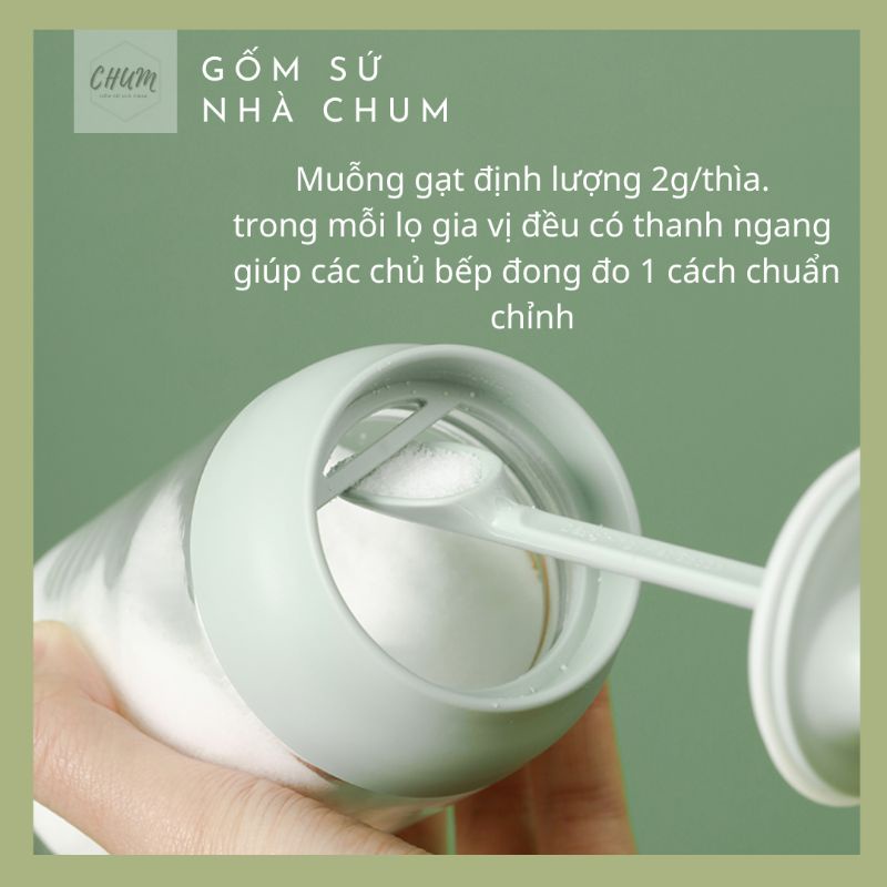 Bình , lọ gia vị dùng trong nhà bếp xanh mint 250ml phong cách hiện đại