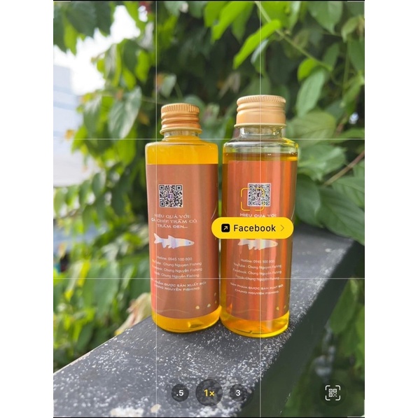 Nước Vàng Chung Nguyễn fishing