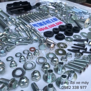Bộ ốc xe dream việt hàng tiêu chuẩn cao cấp