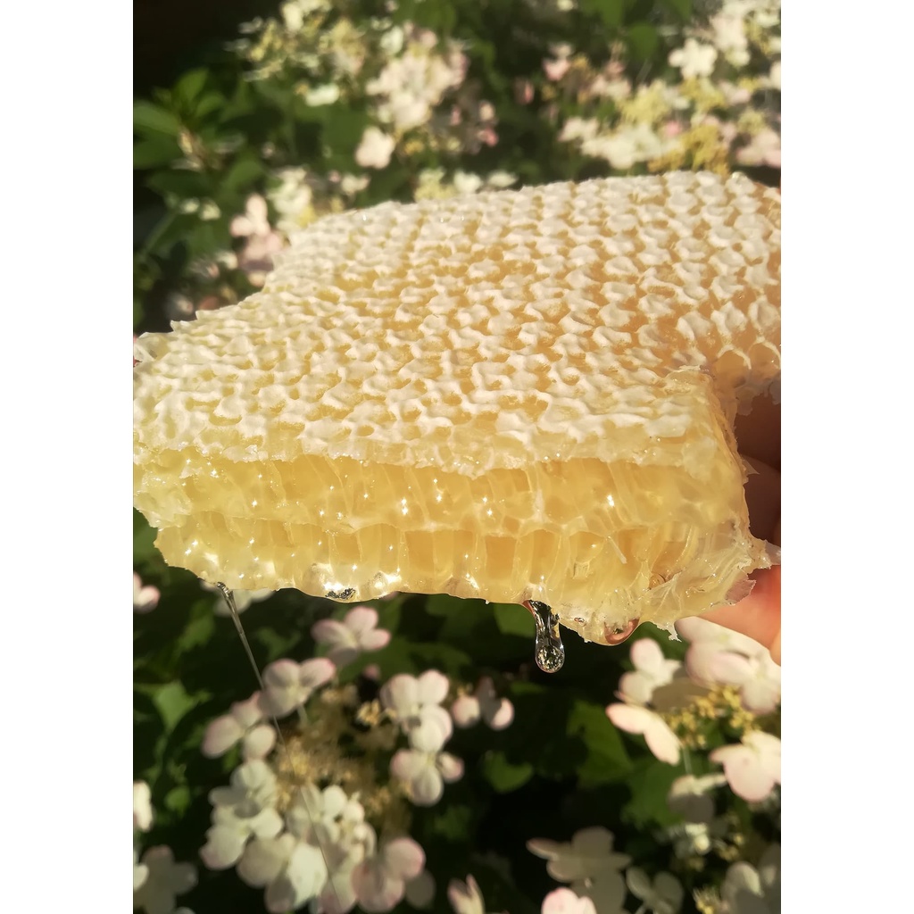 MẬT ONG TRẮNG MÙ CANG CHẢI YÊN BÁI NGUYÊN CHẤT 100%