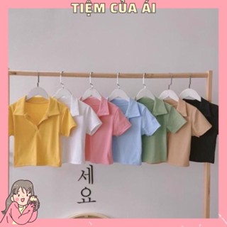♥︎ ÁO THUN CROPTOP TAY NGẮN CÓ CỔ BẺ BASIC♥︎