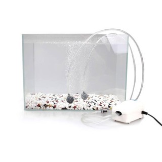 Đá Sục Khí Oxy Chuyên Dụng Cho Bể Cá
