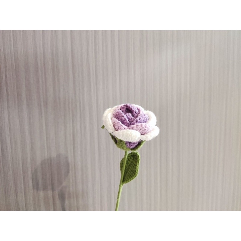 Hoa Hồng Len Màu Gradient Làm Quà Tặng Trang Trí Độc Đáo Sang Chảnh