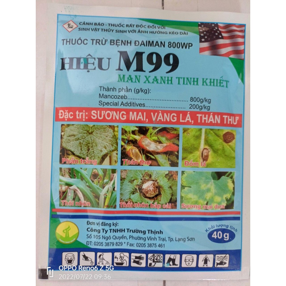 ĐẶC TRỊ SƯƠNG MAI VÀNG LÁ CHO CÂY TRỒNG