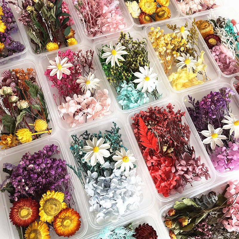 Set hoa khô, thảo mộc, lá thơm, hạt thông trang trí phòng, decor chụp ảnh mix nhiều loại