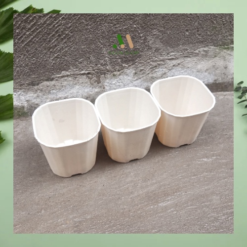 Chậu nhựa vuông cứng mini màu trắng trồng sen đá xương rồng AXUNSHOP size 9x9 giá tại xưởng