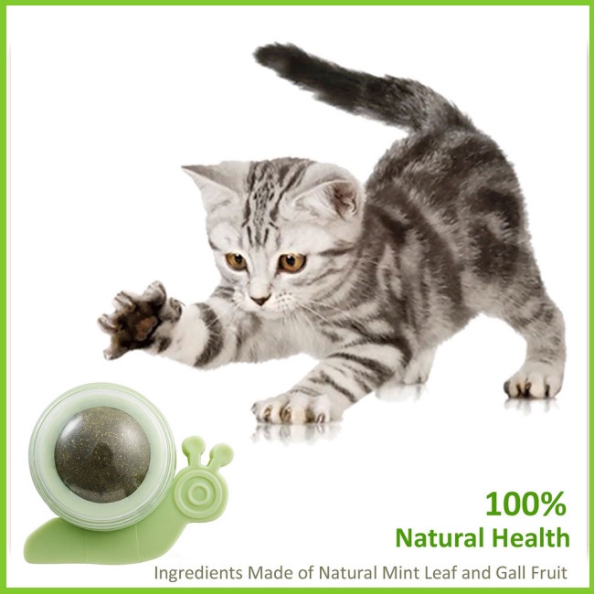 Cỏ Canip Gắn Tường Cho Mèo