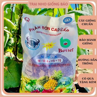 Phân Bón NPK Tím Đầu Trâu 16-12-8+11s+TE  1 bịch 5kg