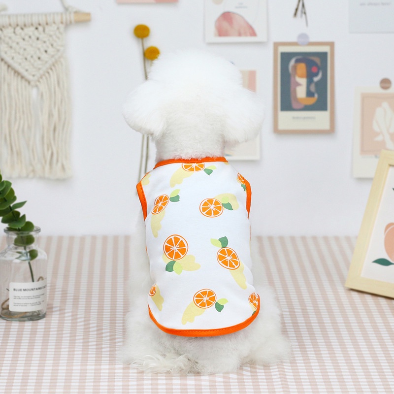 Áo Tank Top Hai Dây Mỏng Thoáng Khí In Họa Tiết Trái Cây Dễ Thương Thời Trang Xuân Hè Cho Thú Cưng