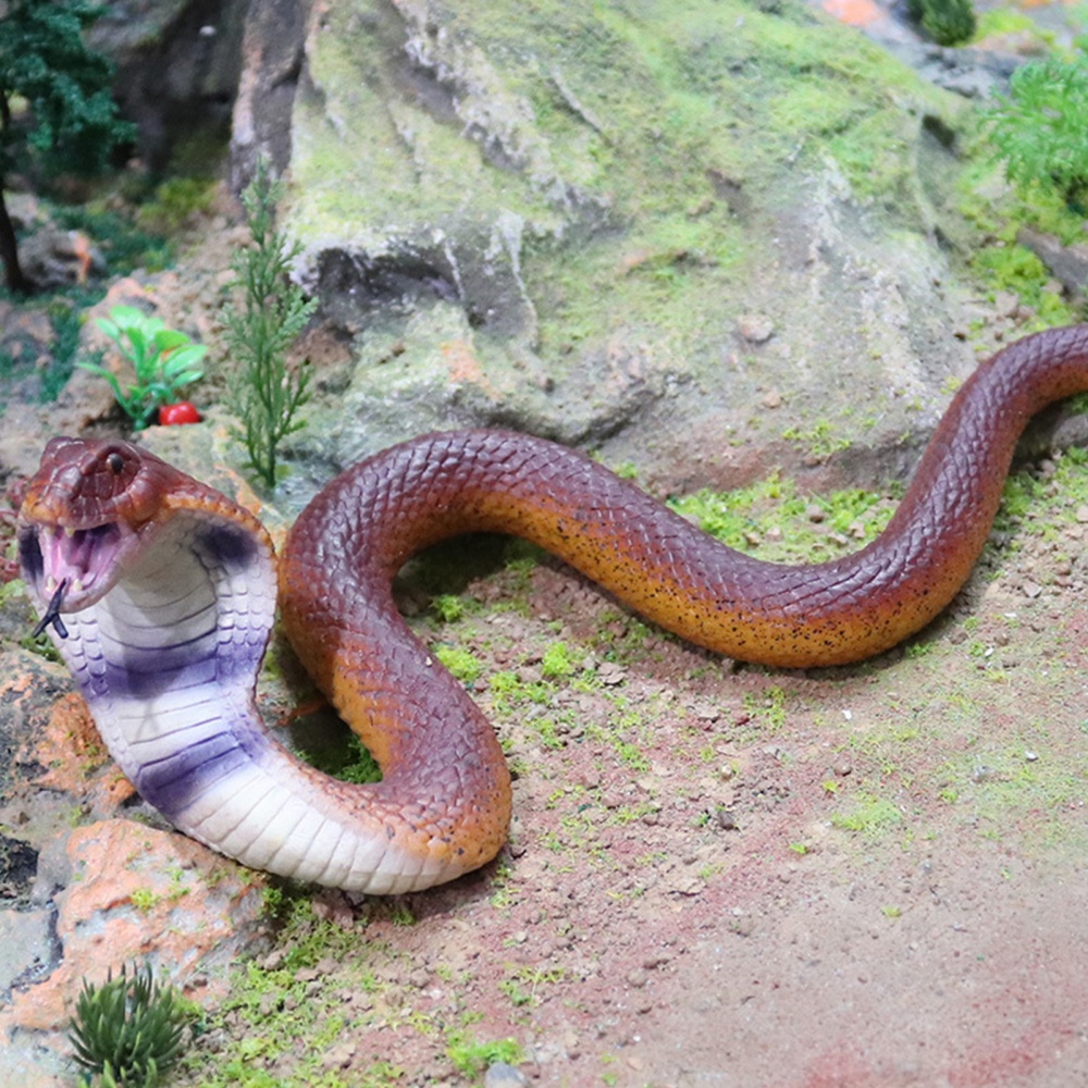 Đồ Chơi Mô Hình Rắn Hổ Mang Thú Vị Cho Halloween