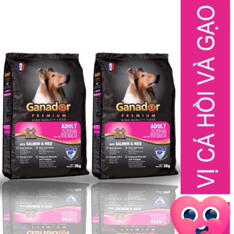Thức ăn hạt cho chó Ganador bao xá 10kg siêu tiết kiệm - date mới nhất