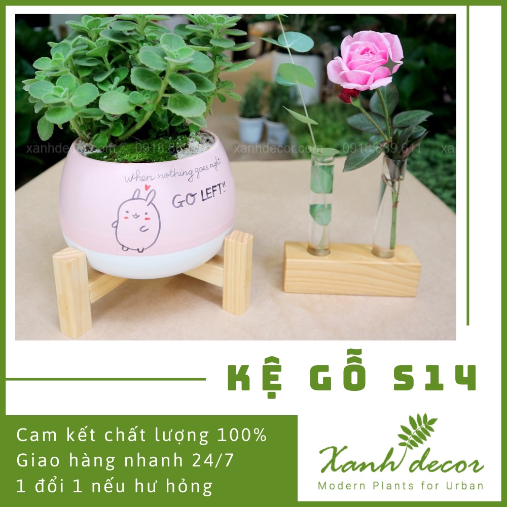 Kệ gỗ - giá gỗ mini để cây cảnh để bàn S14 trang trí decor
