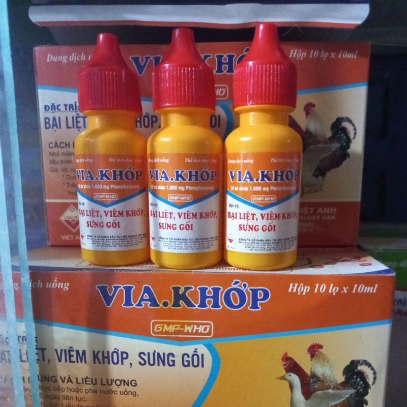 Via Khớp 10ml bại liệt, sưng gối, viêm khớp