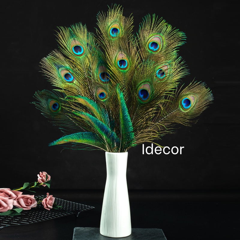 Lông công rìa dùng trang trí điểm tô một vài cành xung quanh bình lông công