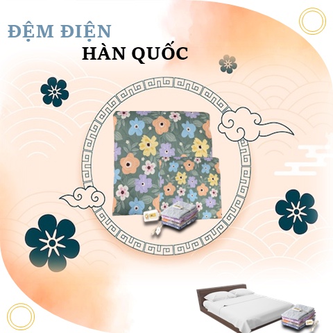 ⚡️Flash sale⚡️ Đệm Sưởi Điện, Chăn Điện Hàn Quốc Hanil Cam Kết Hàng Chính Hãng, Sưởi Ấm Mùa Đông