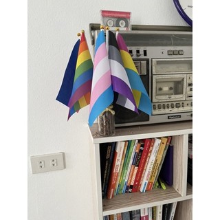 Cờ vải cầm tay LGBT( đủ mẫu cờ)