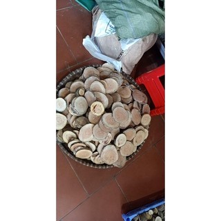 Combo 10 khoanh gỗ tròn vát 10-12cm