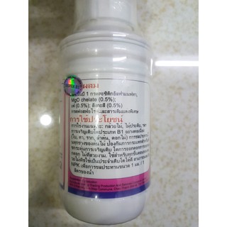 Phân bón kích rễ Super B1 500 ml (Thái Lan)