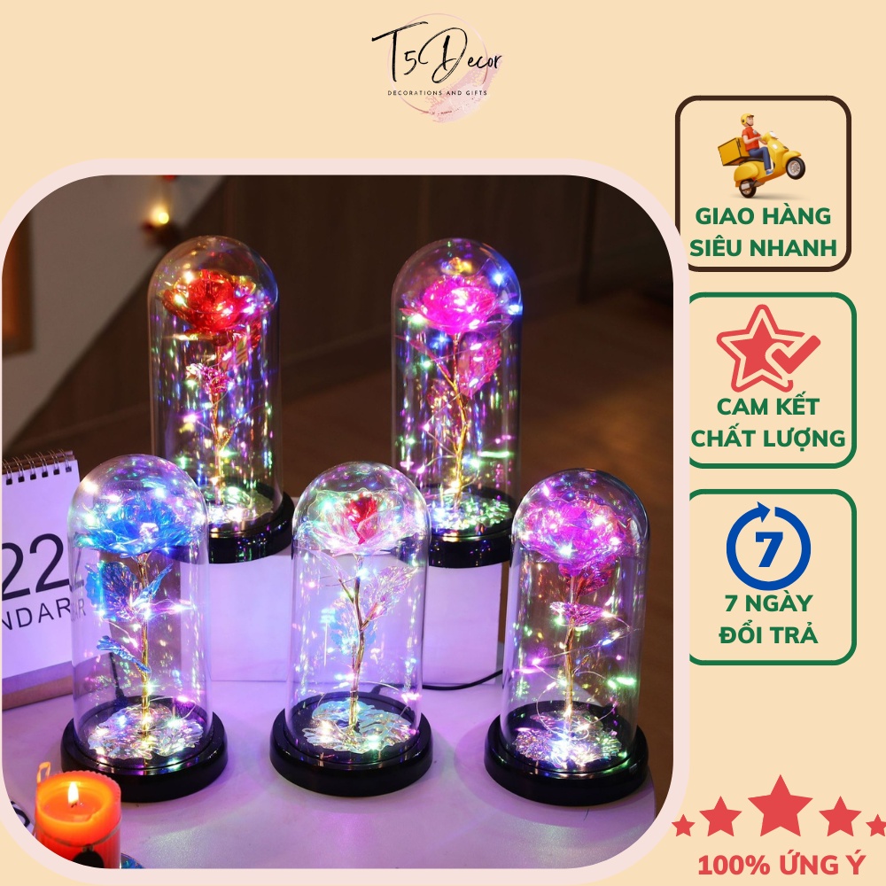 Đèn LED hoa hồng trong lồng kính trang trí cực đỉnh - Qùa tặng người yêu ý nghĩa nè