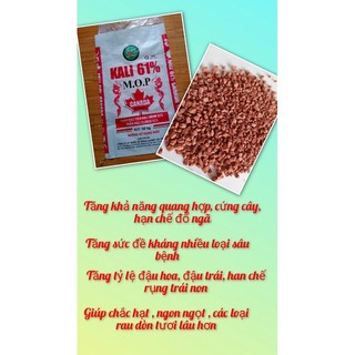 1 KG Phân kali miểng canada giúp hoa đẹp , ngọt trái