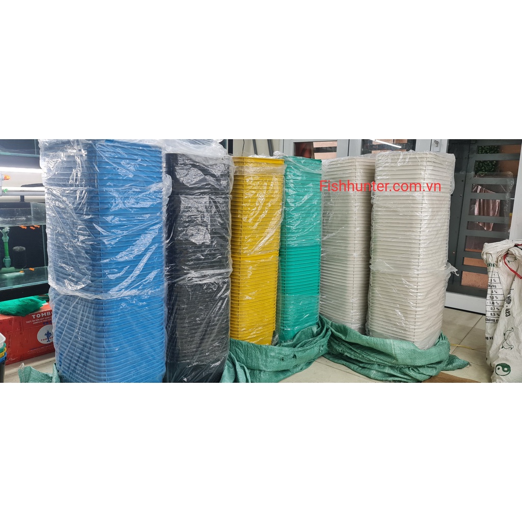 Khay nhựa 7 lít nuôi cá bảy màu